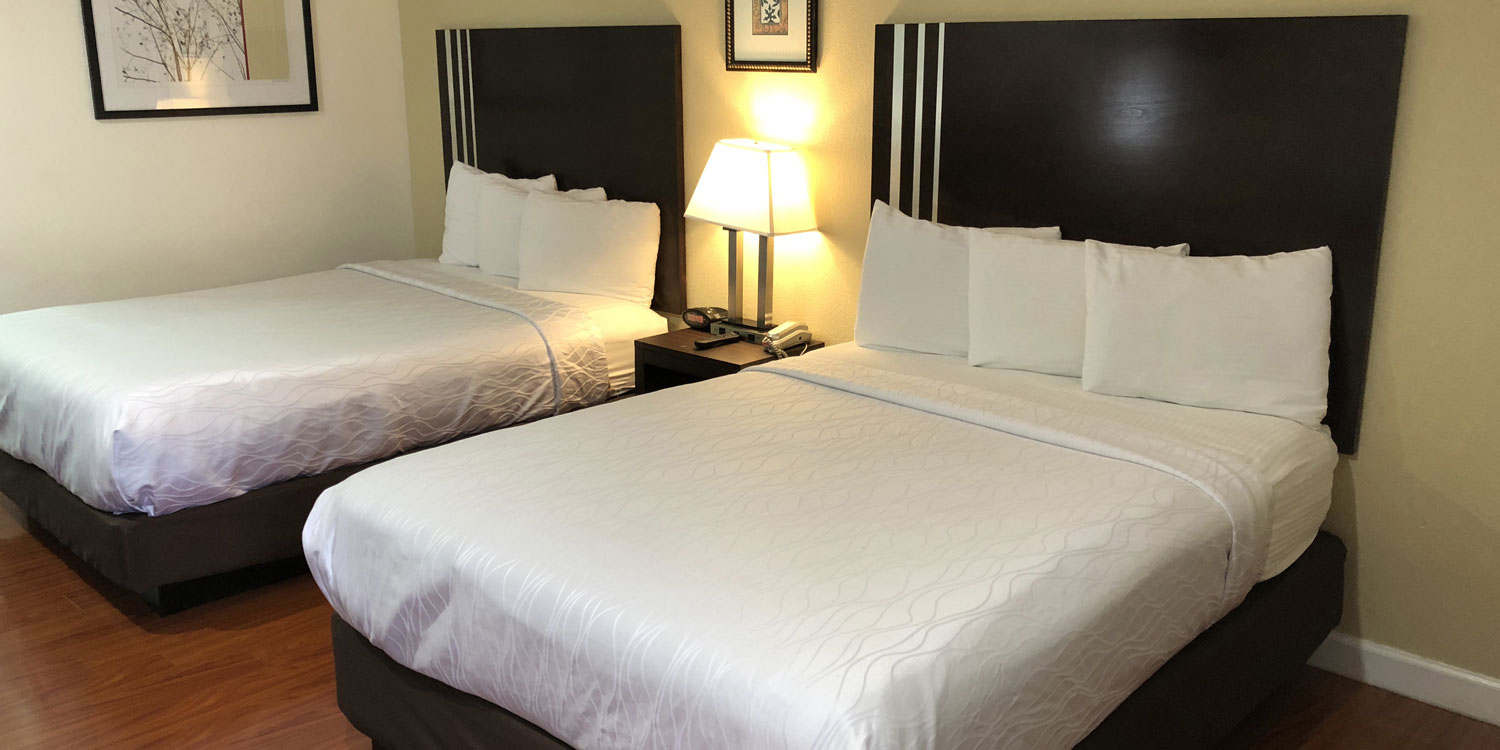  Clean and Comfortable Guest Rooms Located in The Heart of San Francisco