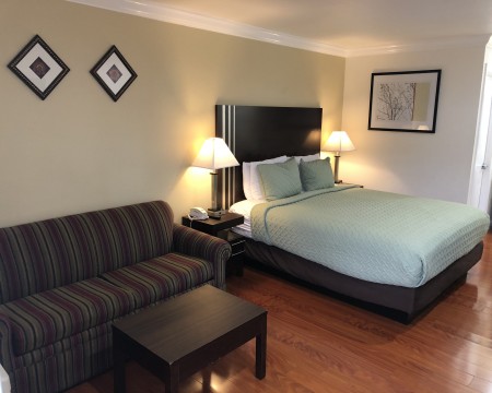 Lombard Plaza Motel - Guest Room with Sofa