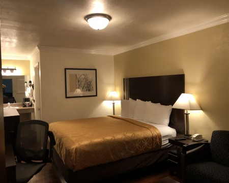 Lombard Plaza Motel - King Room